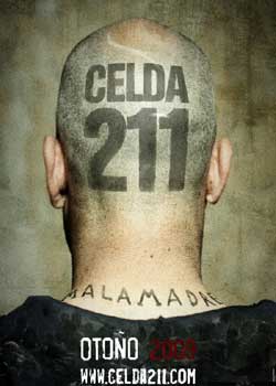 211/