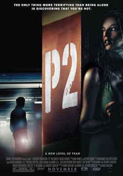  P2ͣ/ͣҹ