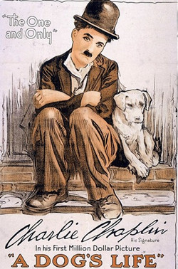 狗的生活/狗的一生
