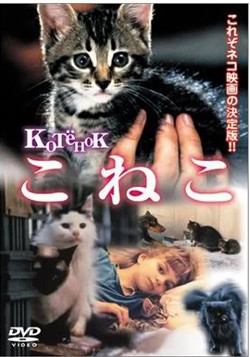 小猫虎子