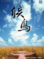 候鸟(微电影)