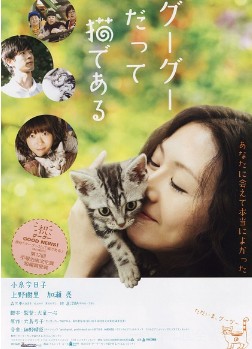 咕咕是只猫