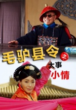 毛驴县令之大事小事