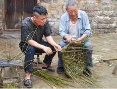 复苏的蝴蝶