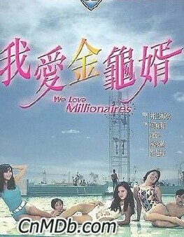 我爱金龟婿