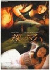 赤祼贵妇